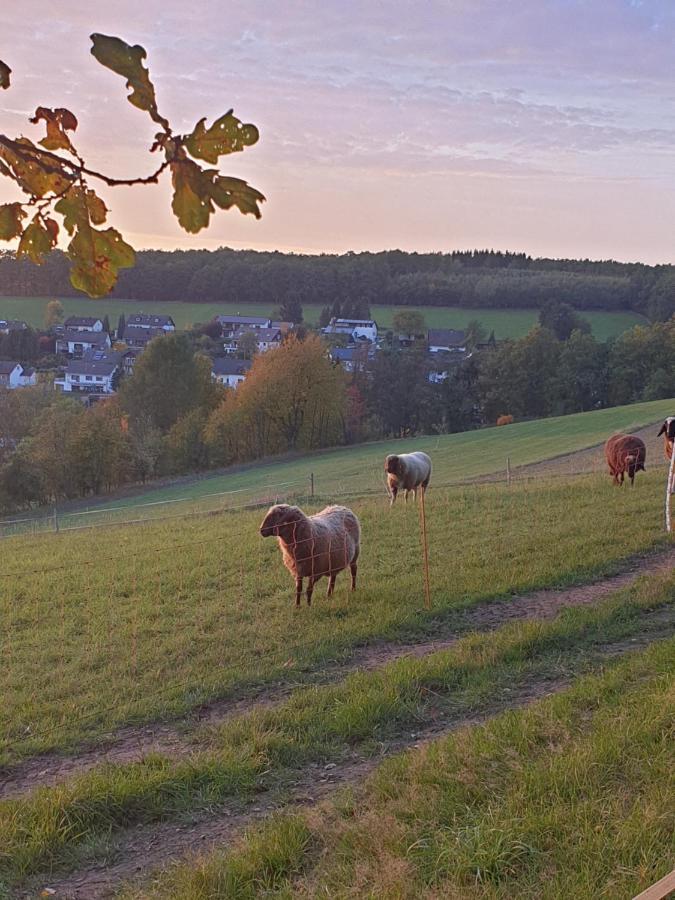 Andinas Ferienwohnung In Ruhiger Lage Direkt Am Wald Wilnsdorf Екстериор снимка